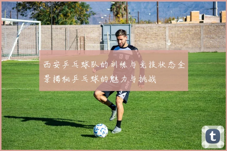 西安乒乓球队的训练与竞技状态全景揭秘乒乓球的魅力与挑战