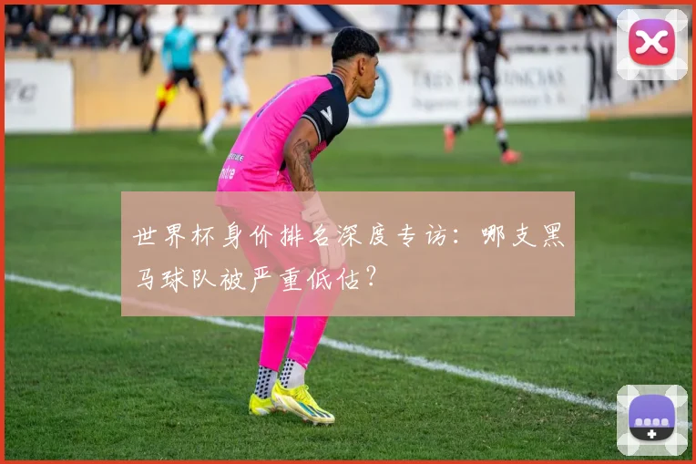 世界杯身价排名深度专访:哪支黑马球队被严重低估?