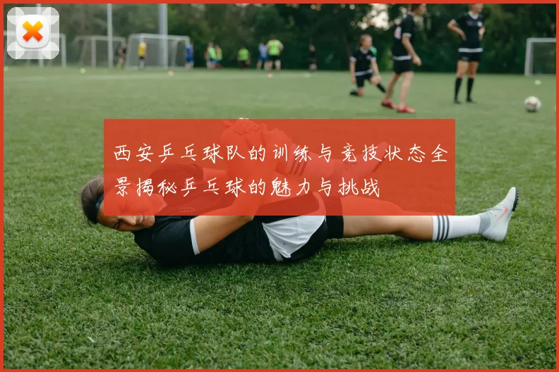 西安乒乓球队的训练与竞技状态全景揭秘乒乓球的魅力与挑战