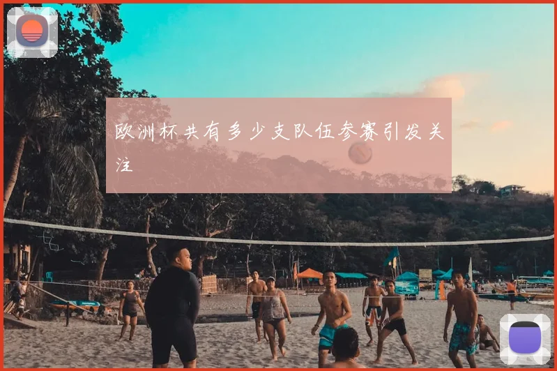 欧洲杯共有多少支队伍参赛引发关注