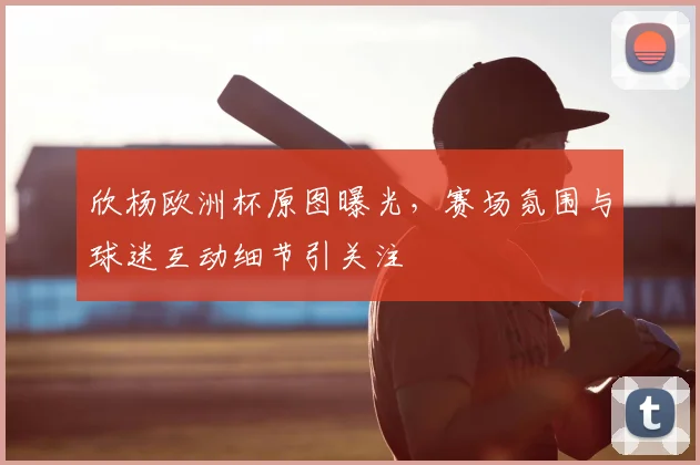 欣杨欧洲杯原图曝光，赛场氛围与球迷互动细节引关注