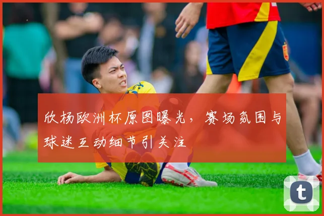 欣杨欧洲杯原图曝光，赛场氛围与球迷互动细节引关注
