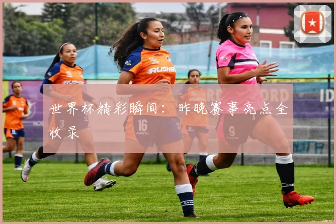 世界杯精彩瞬间:昨晚赛事亮点全收录