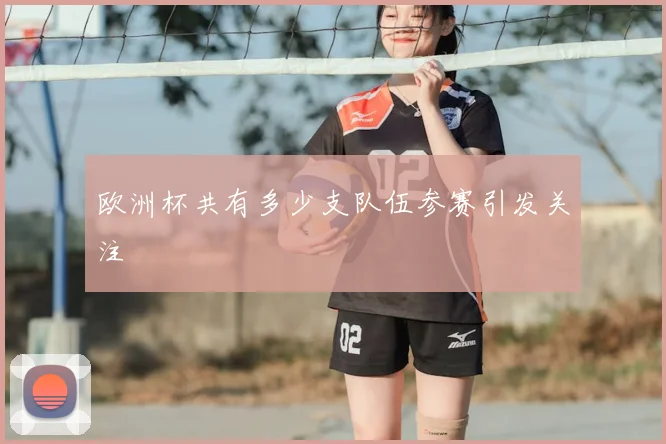 欧洲杯共有多少支队伍参赛引发关注