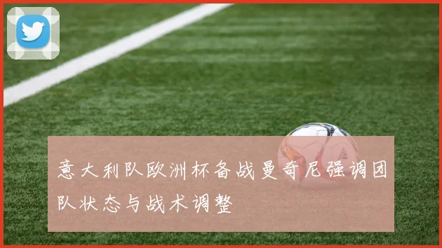 意大利队欧洲杯备战曼奇尼强调团队状态与战术调整